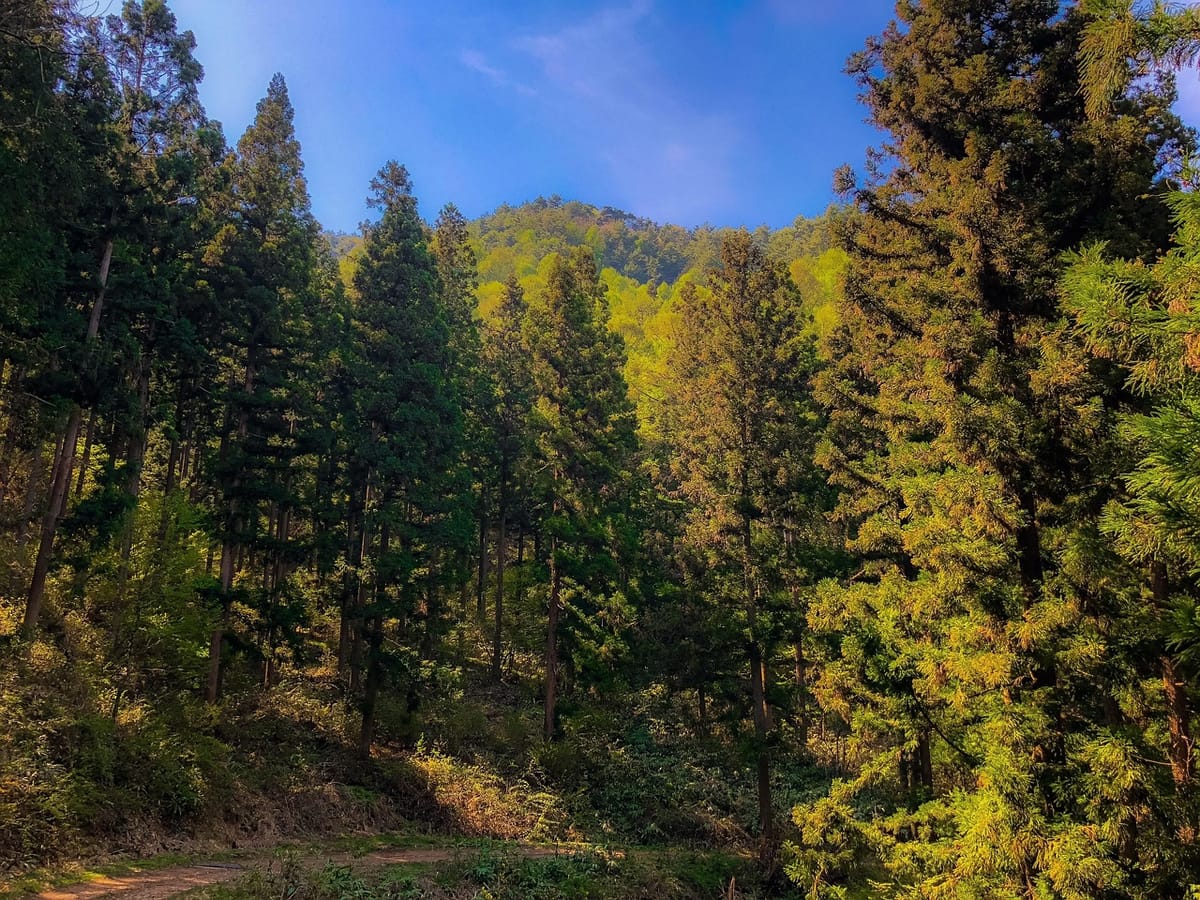 Digital Transformation: Powering the Next Chapter of Sri Lanka’s Economy