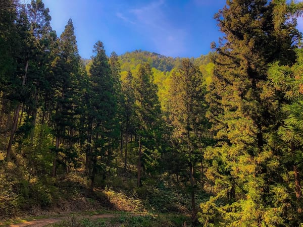 Digital Transformation: Powering the Next Chapter of Sri Lanka’s Economy